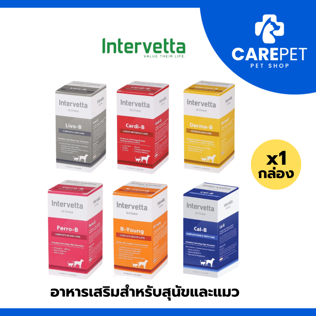 100 เม็ด) Dr.Choice Intervetta วิตามิน อาหารเสริม สําหรับสุนัขและแมวทุกสายพันธุ์