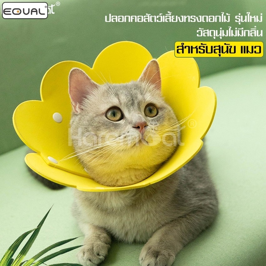 EQUAL ปลอกคอกันเลีย รูปดอกไม้ คอลล่ากันเลีย ลําโพงหมา ลําโพงแมว ลําโพงกันเลีย สุนัข แมว