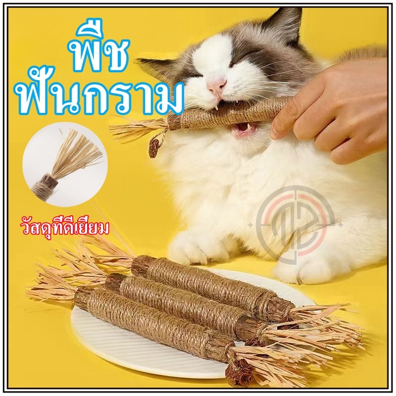 ไม้แมวเมา อันใหญ่ ไม้ขัดฟันแมว ของเล่นแมว ลดคราบหินปูน กัญชาแมว ของเล่นทําความสะอาดฟันแมว หวายทําความสะอาดฟัน