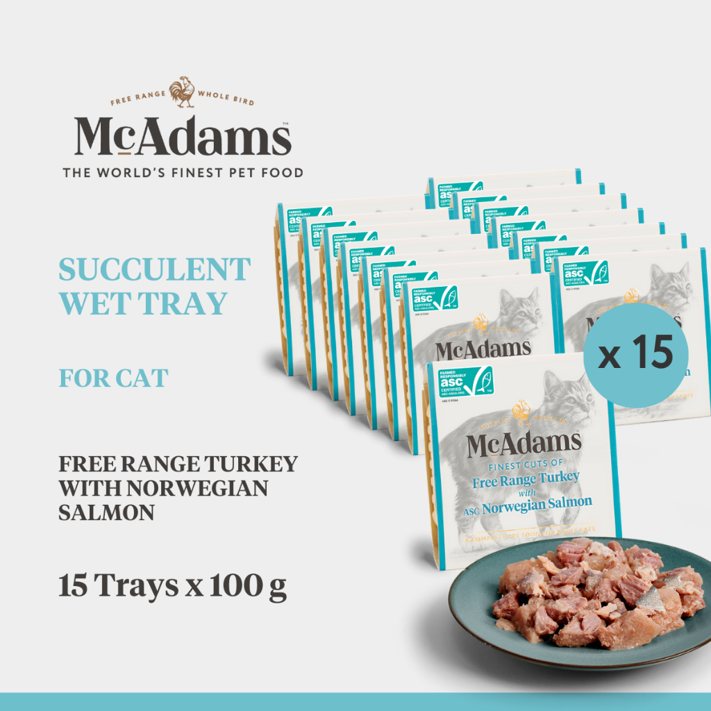 15 Trays] McAdams Cat Wet Trays Turkey & Salmon 100g อาหารเปียกแมว สูตรไก่งวงกับแซลมอน BBD Jan 2027