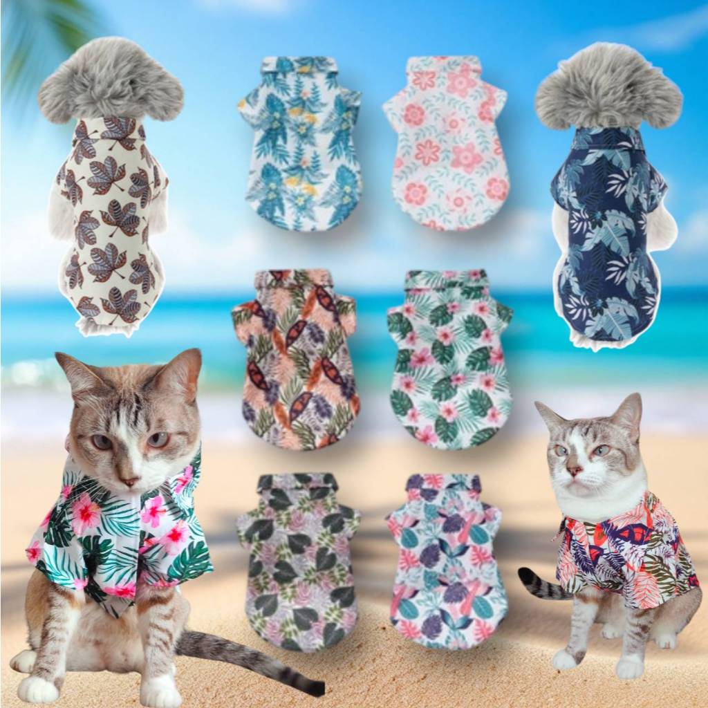 B13)เสื้อสงกรานต์สุนัข - แมว เสื้อฮาวาย ธีมSummer เสื้อเชิ๊ตสัตว์เลี้ยง สีสันสดใส สินค้าสวยตรงปก