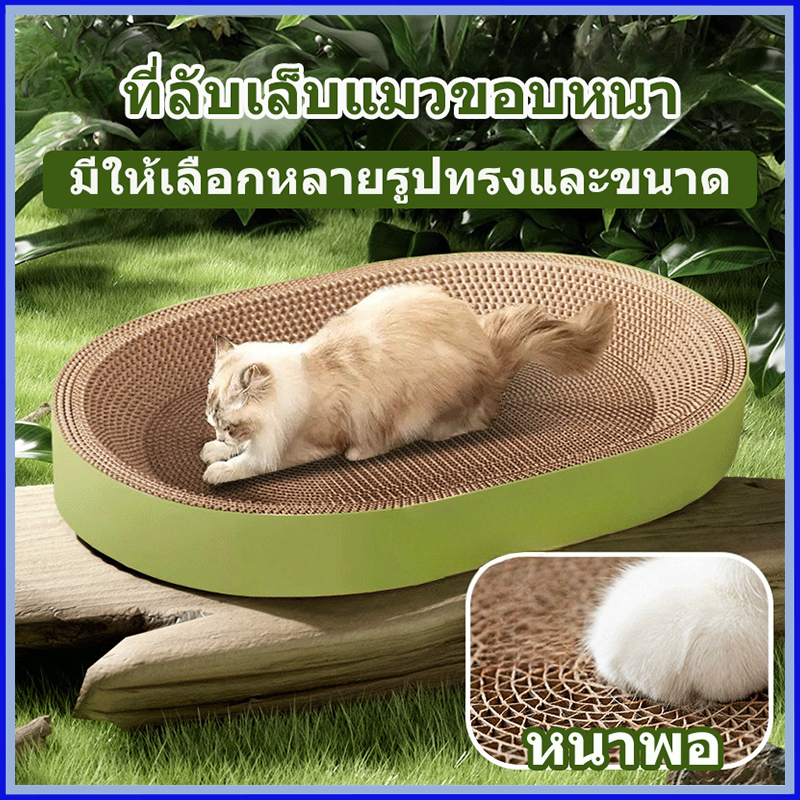 ที่ลับเล็บขอบหนาพิเศษ ที่ลับเล็บแมวขนาดใหญ่ อ่างลับเล็บแมว รี กลม ที่ลับเล็บแมว รุ่นหนากว่าปกติ ของเล่นแมว