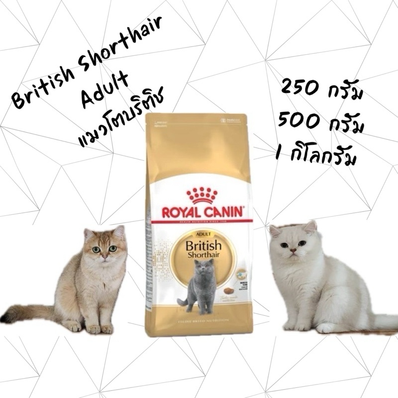 Royal Canin British Shorthair Adult โรยัล คานิน อาหารน้องแมว ราคาถูก 250กรัม/500กรัม/1กิโลกรัม