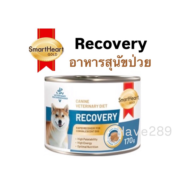 SmartHeart Gold Cat Recovery สุนัขกระป๋อง อาหารรพักฟื้น บํารุงสุนัข (170g)
