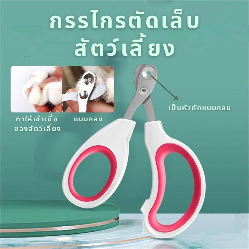 ที่ตัดเล็บแมว กรรไกรตัดเล็บสแตนเลสสุนัขและแมว กรรไกรตัดเล็บแมว กรรไกรตัดเล็บสัตว์ ป้องกันการตัดไปที่เส้นเลือดของแมว