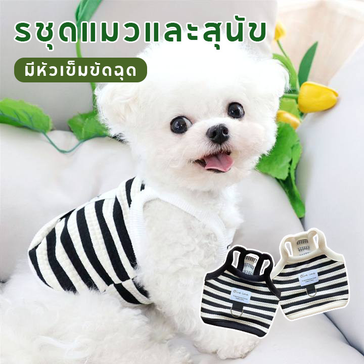 เสื้อผ้าสัตว์เลี้ยง เสื้อกั๊ก แบบบาง รชุดแมวและสุนัข เสื้อกั๊กสําหรับสุนัขเล็ก มีหัวเข็มขัดฉุด