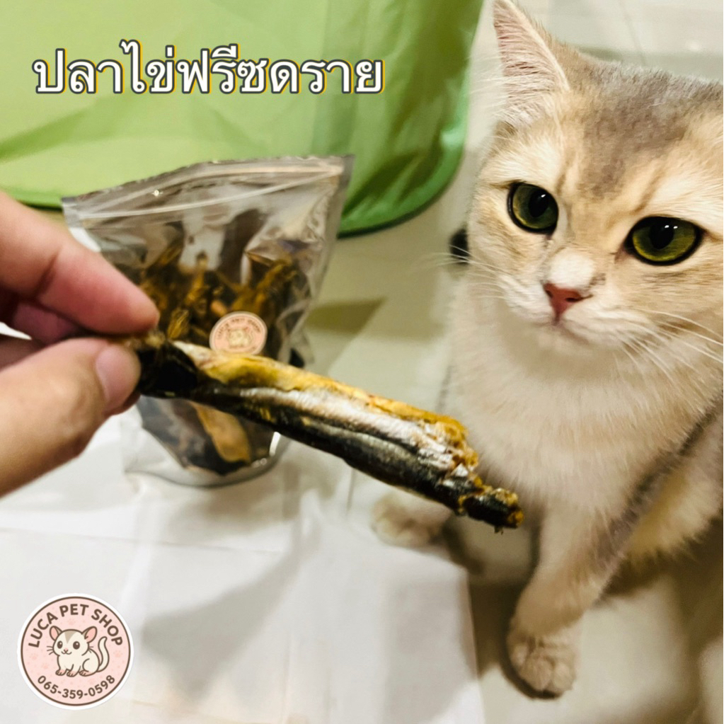 ปลาไข่ฟรีซดราย ปลาไข่สําหรับน้องแมว Freeze-dried อบแห้งหอมๆไม่ปรุงรสไม่แต่งสี มีสินค้าพร้อมจัดส่ง