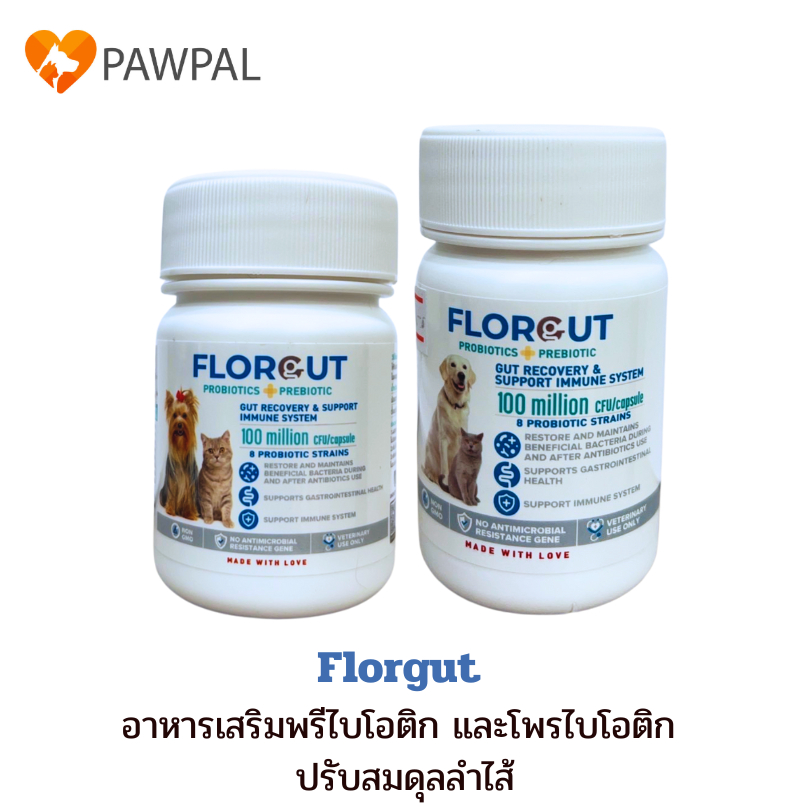 Florgut 30 แคปซูล Exp.2028 อาหารเสริมโปรตีน พรีไบโอติกและโพรไบโอติก ปรับสมดุลลําไส้ สําหรับสุนัขและแมว