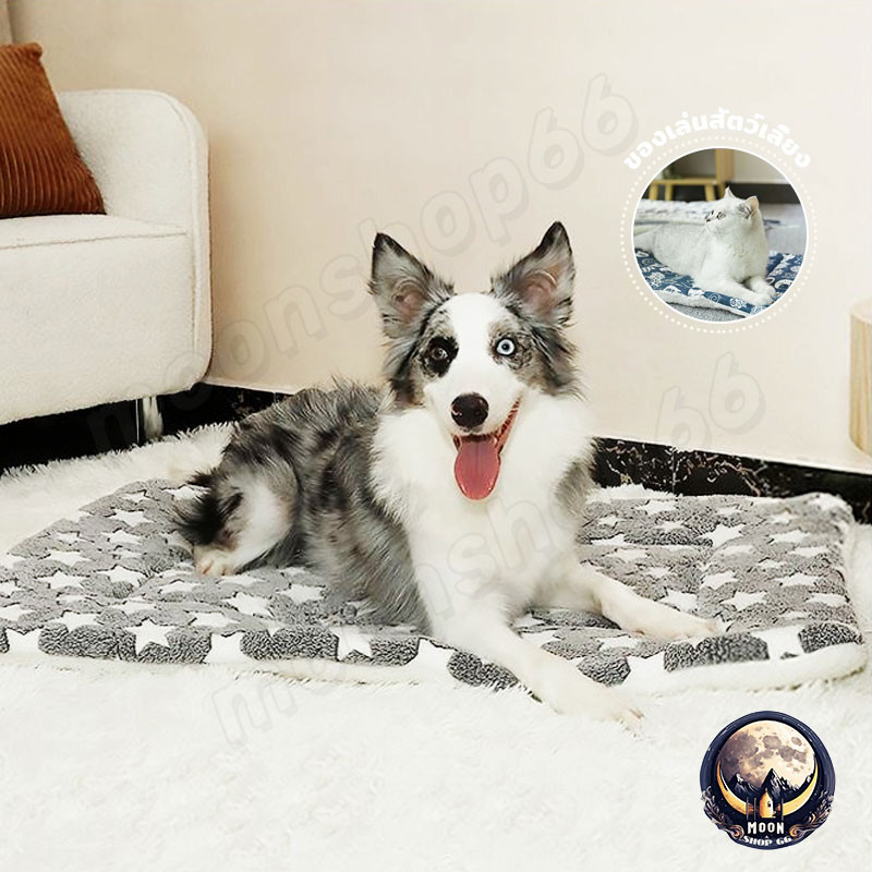 เบาะสัตว์เลี้ยง pet cushion ผ้าห่มสัตว์เลี้ยง เบาะนอนสําหรับสัตว์เลี้ยง เบาะนุ่มแมว สุนัข ผ้าห่มแมว เบาะนุ่มแมว สุนัข