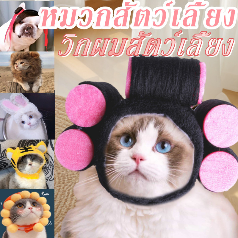 หมวกสัตว์เลี้ยง วิกผมสัตว์เลี้ยง ตลกและน่ารักตลกและน่ารัก อุปกรณ์ปาร์ตี้แฟนซ ชุดสัตว์เลี้ยง การตก แต่ง