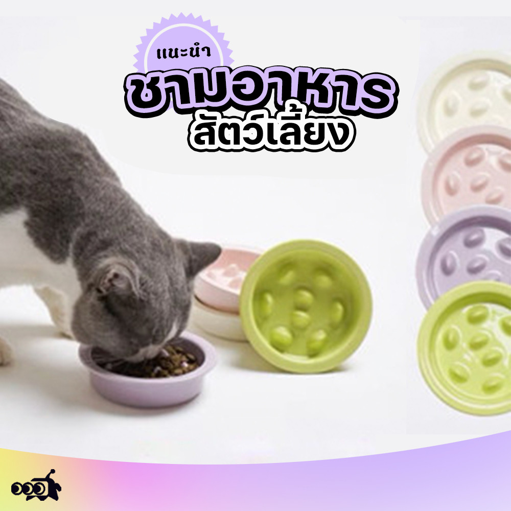 ชามเซรามิกอาหารช้า | ป้องกันสําลัก-แมวสุนัข | ล้างง่าย+หลายขนาด (เหมาะฐานส่วนใหญ่ แนะนําขนาด S แมว/M-L สุนัข)