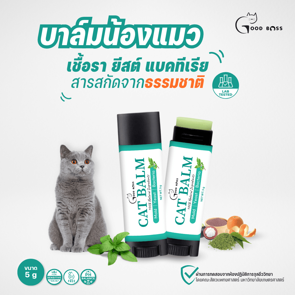 Cat Balm บาล์มเเท่งสําหรับเเมว เชื้อรา ยีสต์ ลดอาการคัน ขนร่วง ผลิตภัณฑ์ออแกนิค ขนาด 5 กรัม
