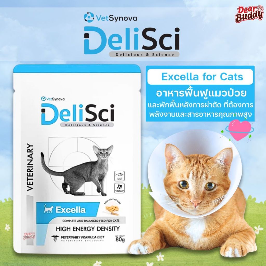 1 ซอง DeliSci Excella Cat อาหารฟื้นฟูสําหรับแมวป่วย และพักฟื้นหลังการผ่าตัด