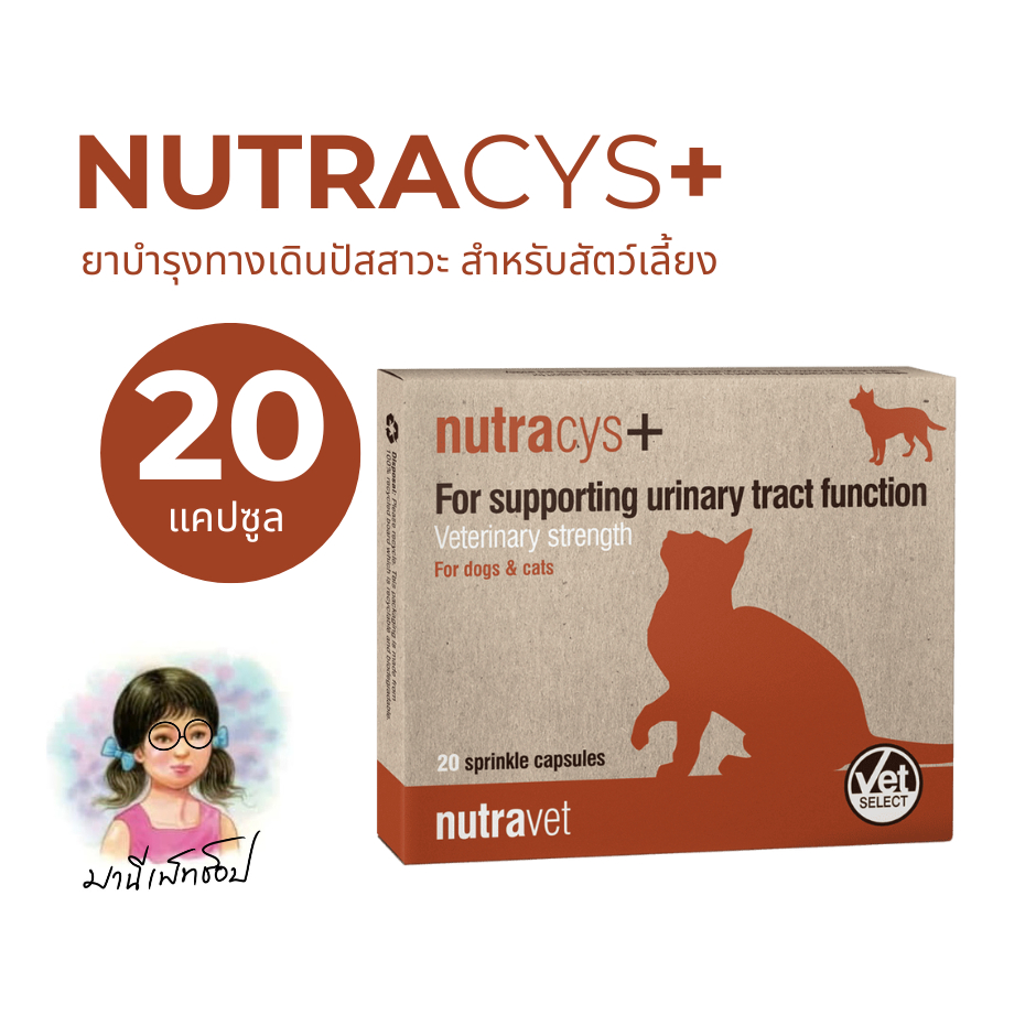 Nutracys+ [แท้ ] อาหารเสริมดูแลระบบทางเดินปัสสาวะ สําหรับสุนัขและแมว 20 เม็ด