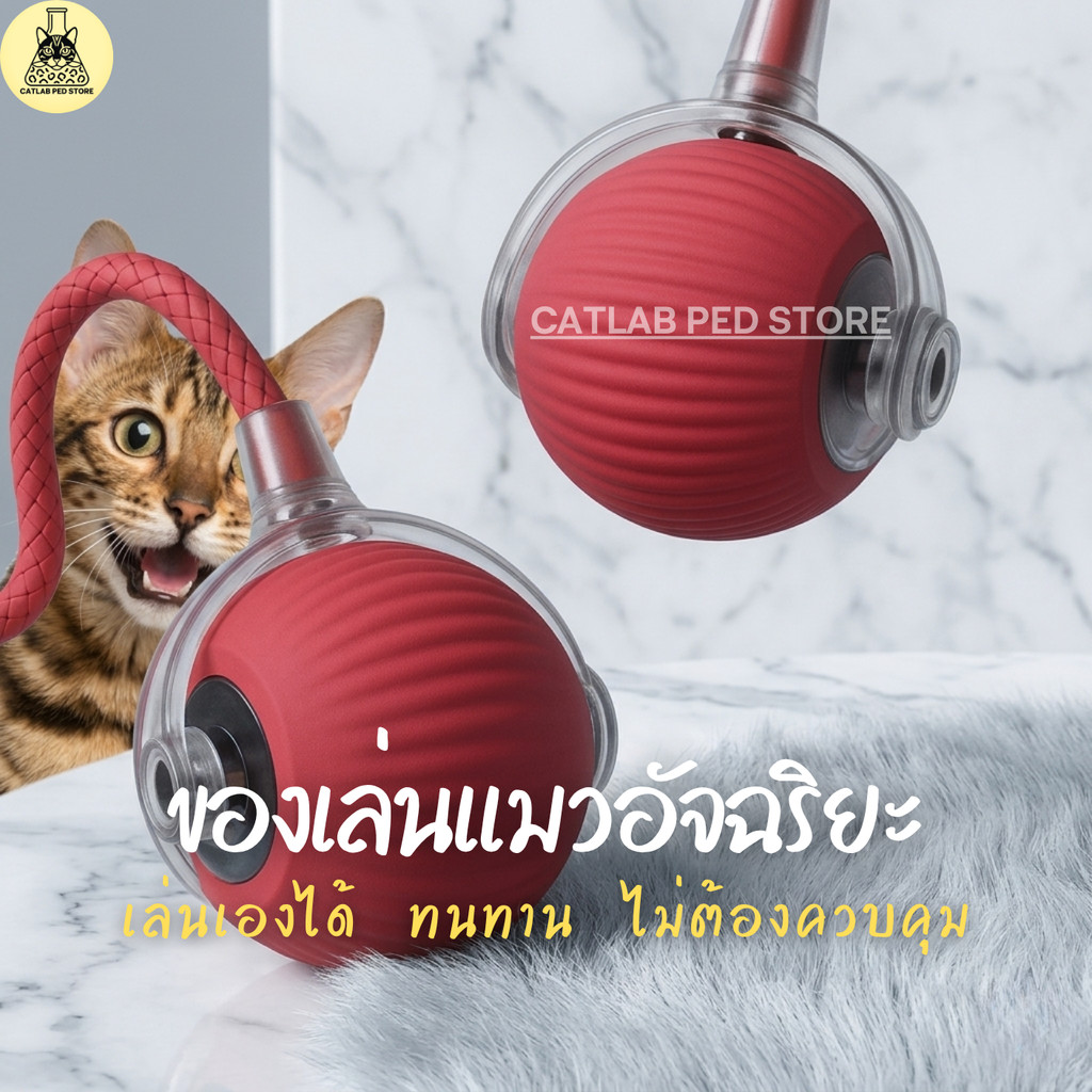 ลูกบอลอัตโนมัติ ลูกบอล AI อัตโนมัติ ของเล่นแมว ของเล่นสุนัข แก้เหงา เสริมพัฒนาการ