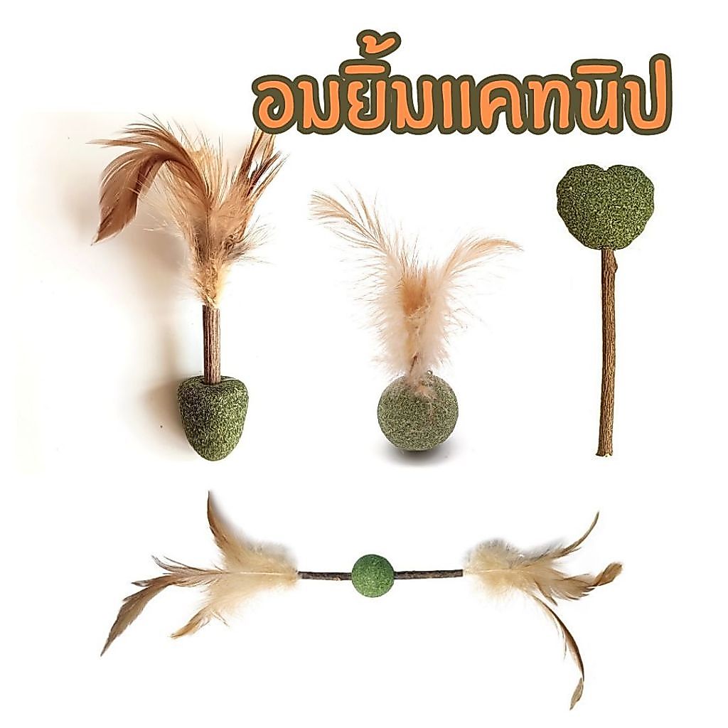 อมยิ้มแคทนิป ขนมแมว ของเล่นแมว หญ้าแมว สินค้า
