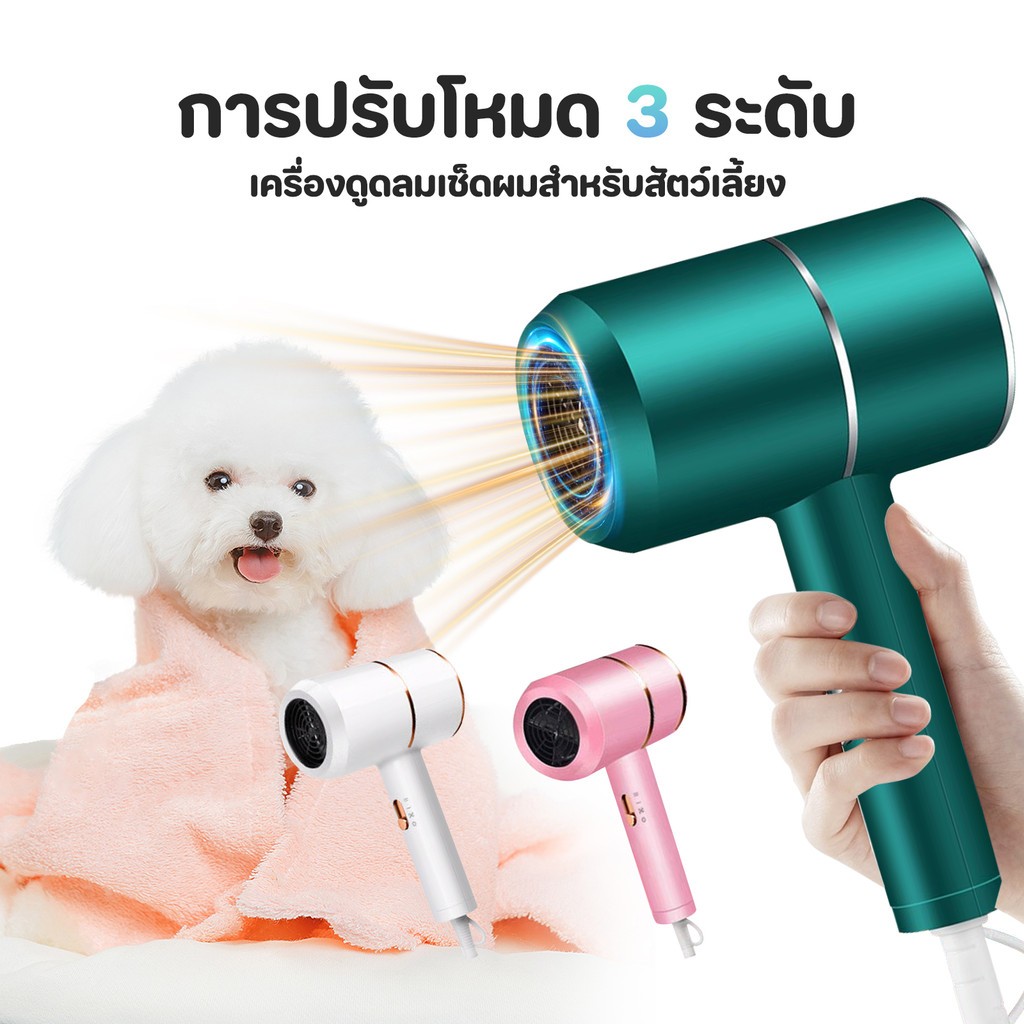 TUBI ต่ําเสียงสัตว์เลี้ยงตัวเป่าลูกสุนัขตัวเป่าแมวเสียงต่ําเสียงต่ําผมฟาสต์เพ็ทเลี้ยงสัตว์เลี้ยงให้แห้ง2800W
