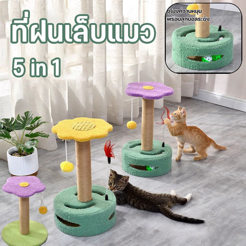COD🌸กรอบปีนแมว เสาลับเล็บแมวได้ เสาลับเล็บแมวได้ ที่ฝนเล็บแมว 5 in 1 พร้อมของเล่น คลายเครียด