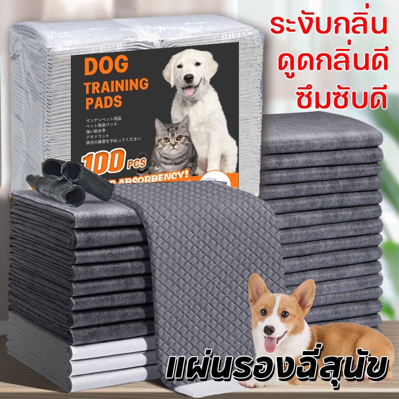 แผ่นรองฉี่สุนัข รุ่นชาโคล แผ่นรองฉี่ชาโคล แผ่นรองฉี่แมว ช่วยฝึกขับถ่าย การดูดซับน้ํา6ชั้น ระงับกลิ่นได้ดี Pee Pad