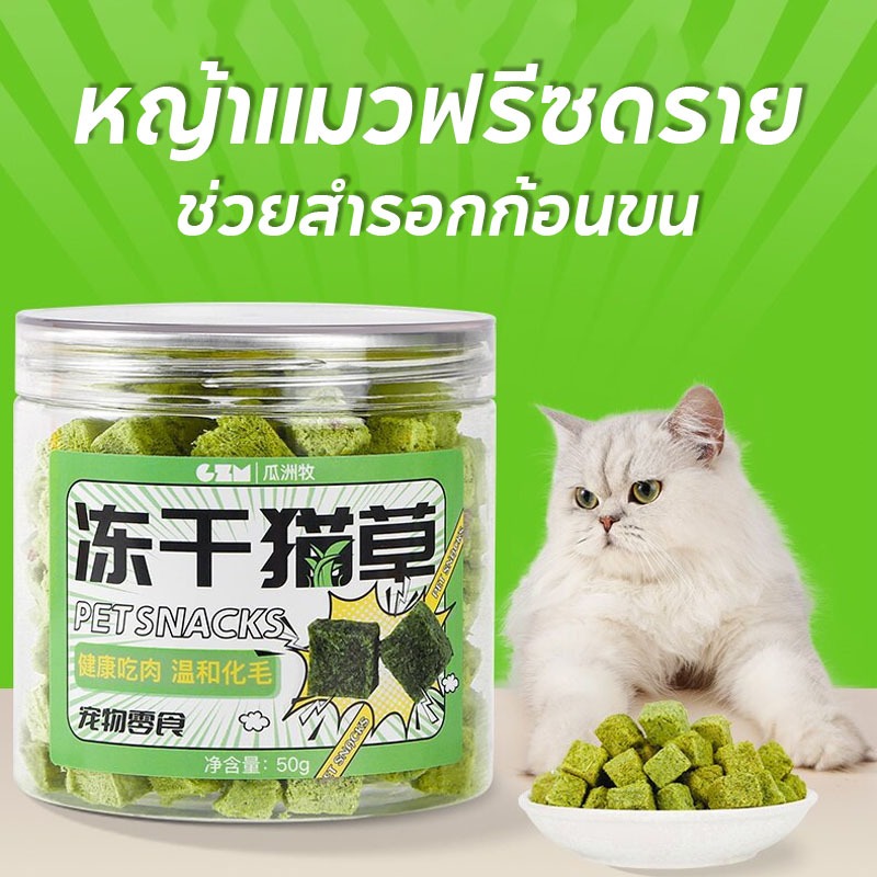 หญ้าแมวฟรีซดราย ขนมสัตว์เลี้ยง หญ้าแมวอบแห้ง50g ช่วยสํารอกก้อนขน