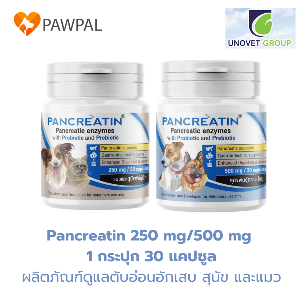 Pancreatin 250 mg 500 mg (1 กระปุก 30 แคปซูล) Exp.2028 เอนไซม์ช่วยย่อย ตับอ่อนอักเสบ สําหรับ สุนัข แมว