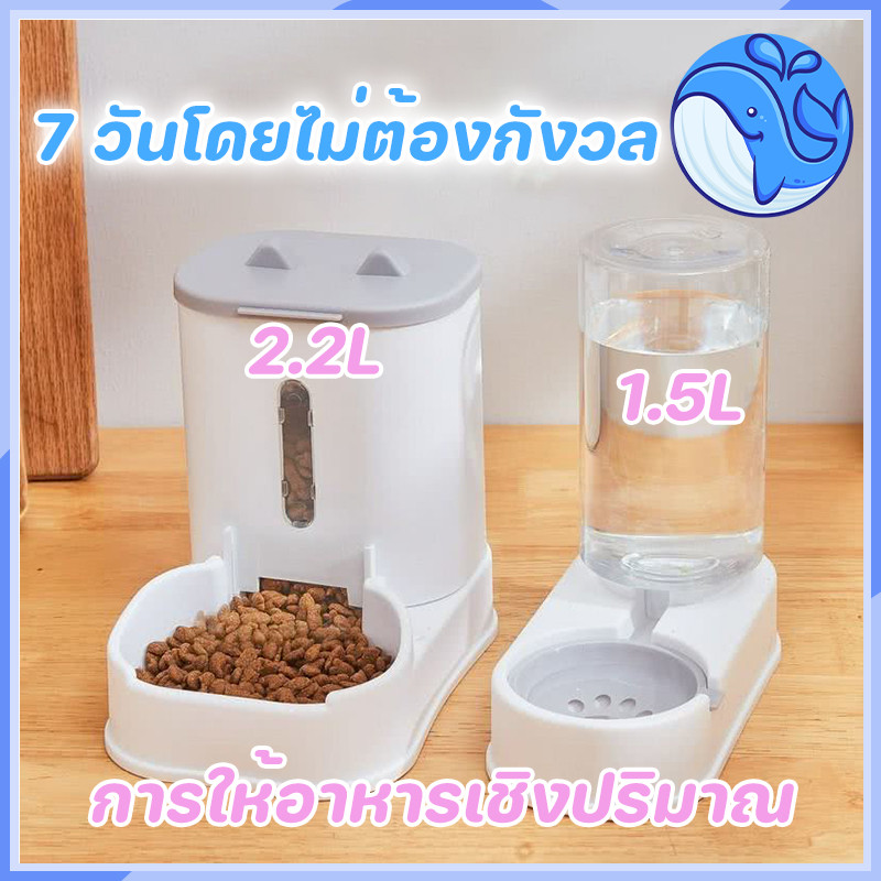 เครื่องให้อาหารแมว เครื่องให้อาหารสัตว์เลี้ยง ชามสัตว์เลี้ยง Pet Feeder and Waterer ที่ใหอาหารสุนัข