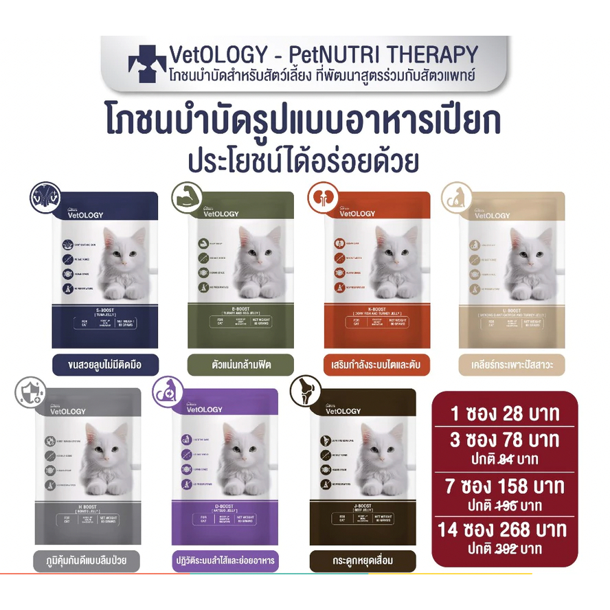 ยกโหล12ซอง!] Petheria VetOLOGY อาหารเปียกสําหรับแมว ทานได้ตั้งแต่ 1 เดือน เหมาะกับทุกช่วงวัย 80g x12ซอง