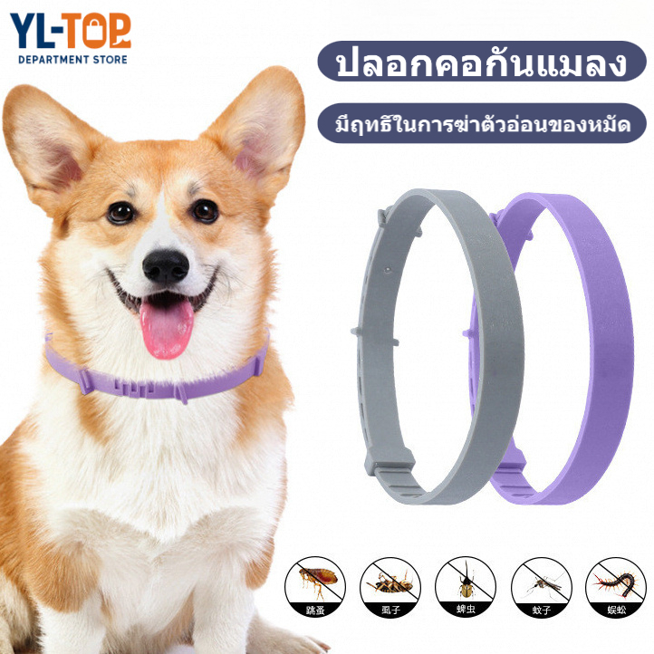 ปลอกคอกันแมลงสําหรับสัตว์เลี้ยง ปลอกคอเห็บไล่หมัด ปลอกคอสัตว์เลี้ยงสําหรับสุนัขและแมว (จัดส่งในประเทศไทย) CW109