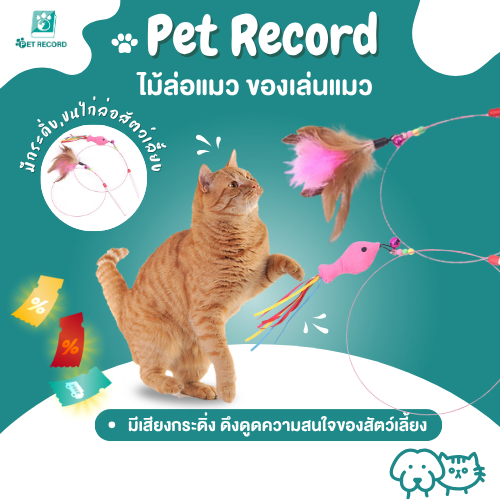 Pet Record ไม้ล่อแมว ของเล่นแมว สุนัข หมา มีเสียงกระดิ่ง ปลา,ขนไก่ ดึงดูดความสนใจของสัตว์เลี้ยง