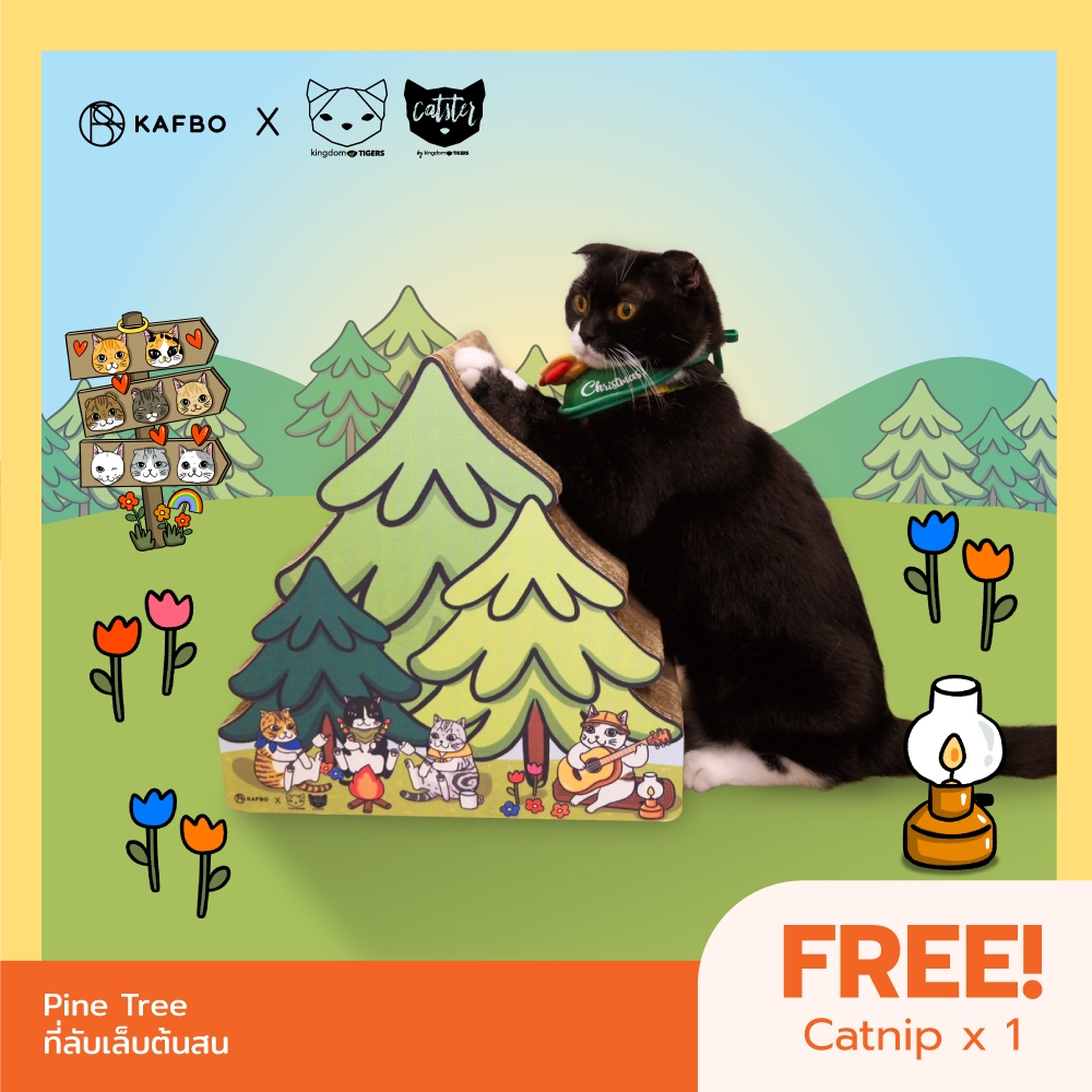 Kingdom of Tigers ทูนหัวของบ่าว﻿ x KAFBO Pine Tree ที่ลับเล็บต้นสน ที่ลับเล็บแมว ของเล่นแมว