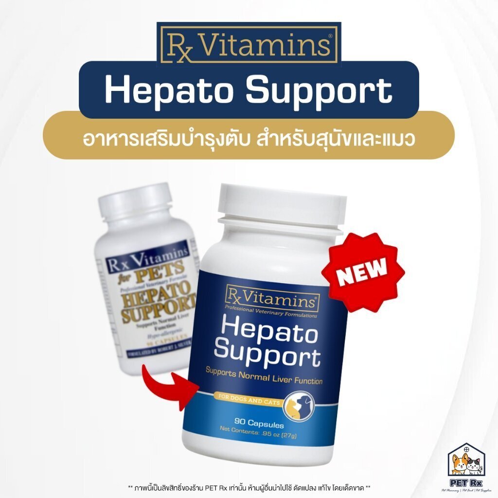 ยกกระปุก!] Hepato Support [แท้ ] แพ็กเกจใหม่! อาหารเสริมบํารุงตับ ชนิดเม็ดแคปซูล สําหรับสุนัขและแมว (90 แคปซูล)