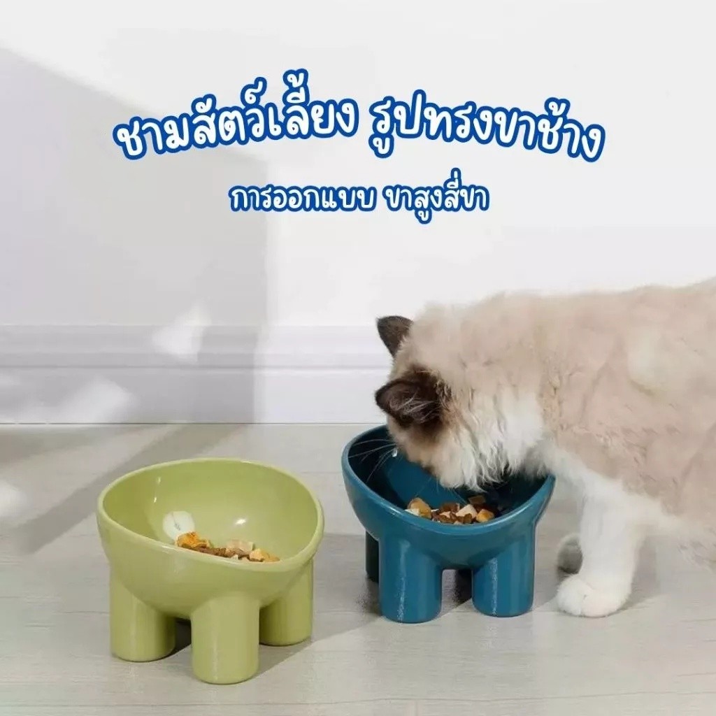 ชามอาหารสัตว์ ทรงเอียง ชามอาหารหมา ที่ใส่อาหารสัตว์เลี้ยง ชามสัตว์เลี้ยง อุปกรณ์ให้อาหารสัตว์ เอียง 15 องศา