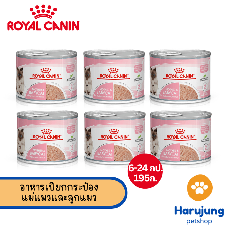 6/12/18/24 กระป๋อง] Royal Canin อาหารแม่และลูกแมว ชนิดเปียก (MOTHER & BABYCAT MOUSSE) [EXP 03/28