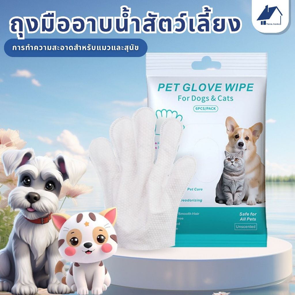 ถุงมือสัตว์เลี้ยงแบบใช้แล้วทิ้ง สัตว์เลี้ยงอาบน้ํา ดับกลิ่น ดูแลผิวสุนัขและแมว ถุงมือทําความสะอาดฆ่าเชื้อ ถุงมืออาบน้ํา