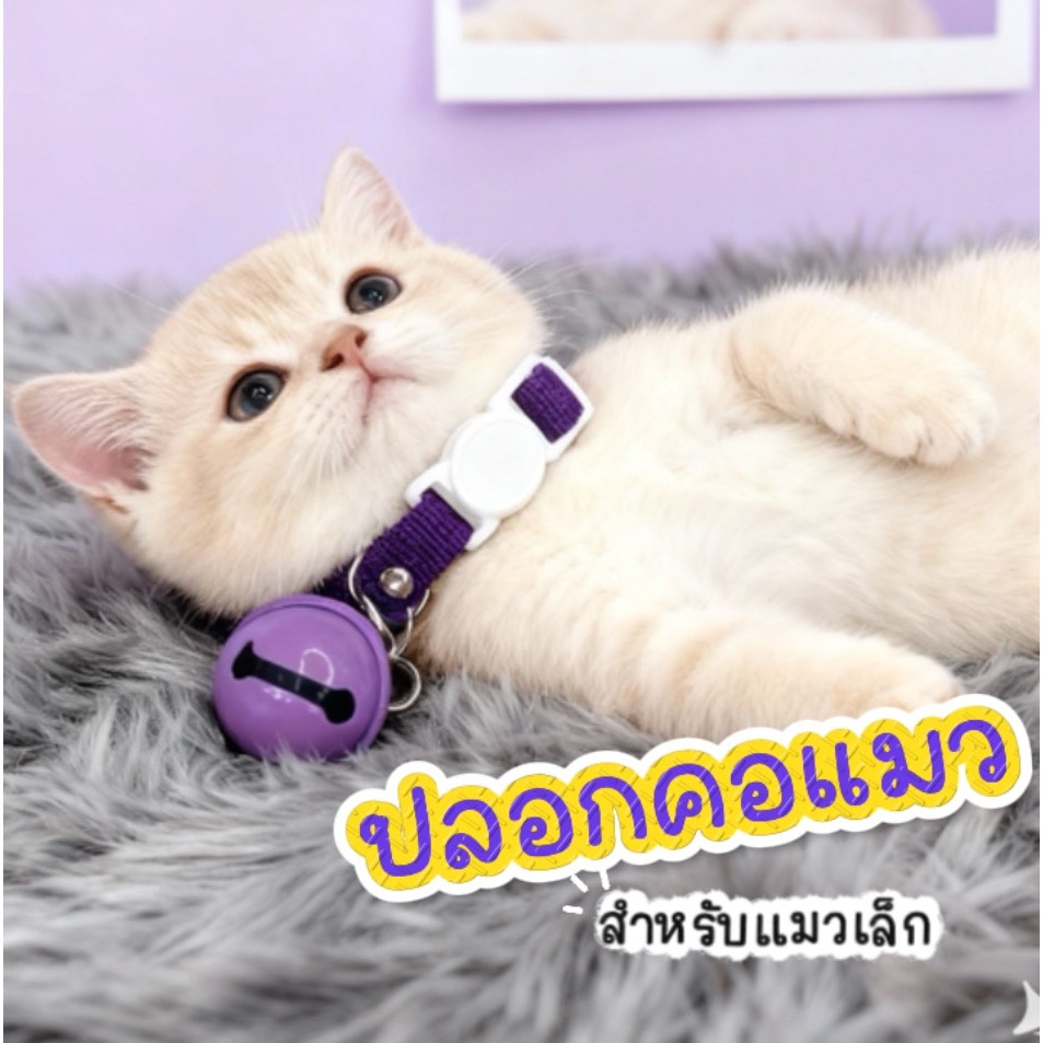 ไซต์S) ปลอกคอสัตว์เลี้ยงนิรภัย ปลอกคอลูกแมว ปลอกคอลูกหมาเล็ก ปรับระดับได้