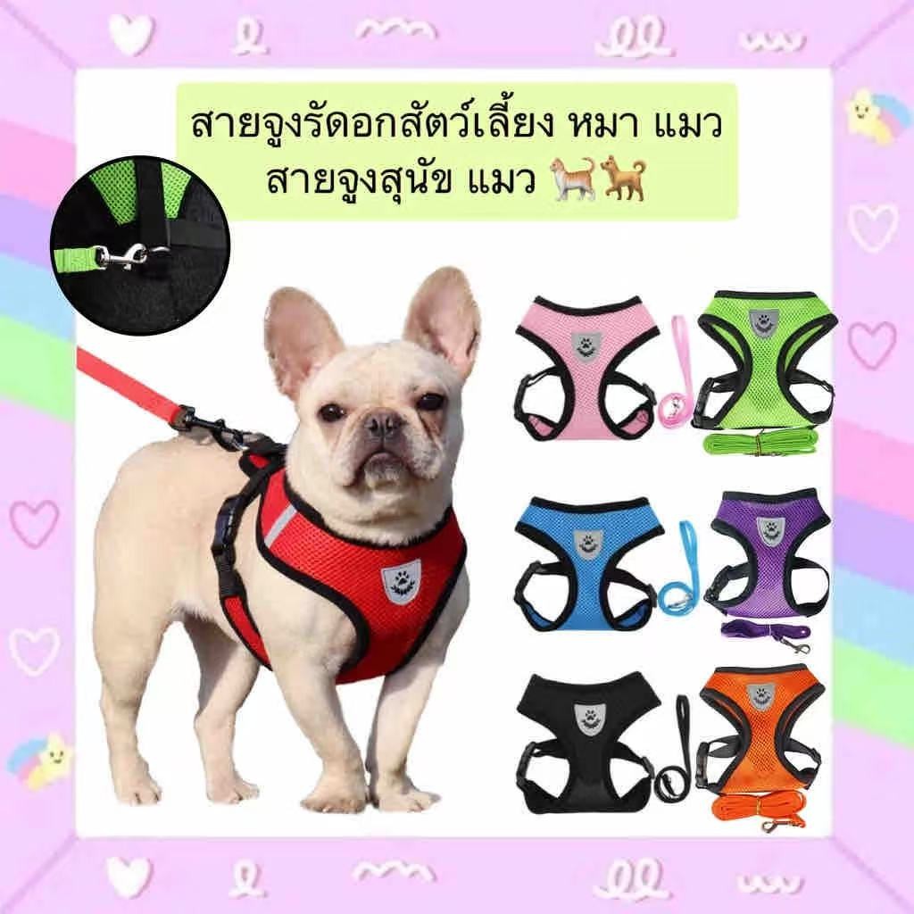 ในไทย จูงหมา สําหรับสัตว์เลี้ยง สุนัข แมว กระต่าย ขนาดเล็ก เสื้อจูงแมว ผ้าตาข่าย พร้อมสายจูง บสัตว์เลี้ยง