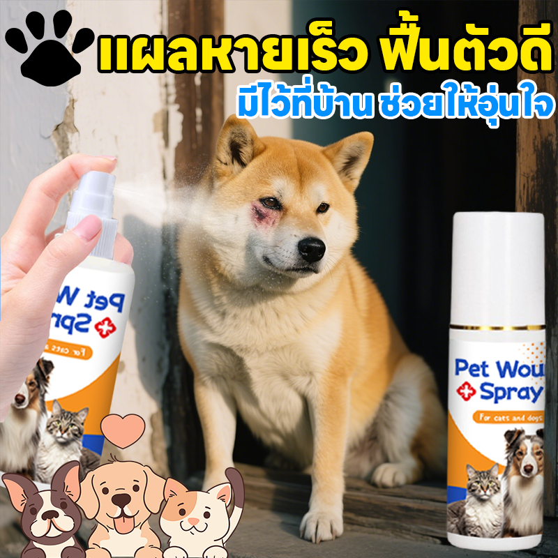 สเปรย์เดียวเห็นผล💊 AL สเปรย์สมานแผลสําหรับสัตว์เลี้ยง สเปรย์พ่นแผล สัตว์เลี้ยง / สุนัข / แมว แผลแห้งเร็วมาก ยับยั้งแบคทีเรีย