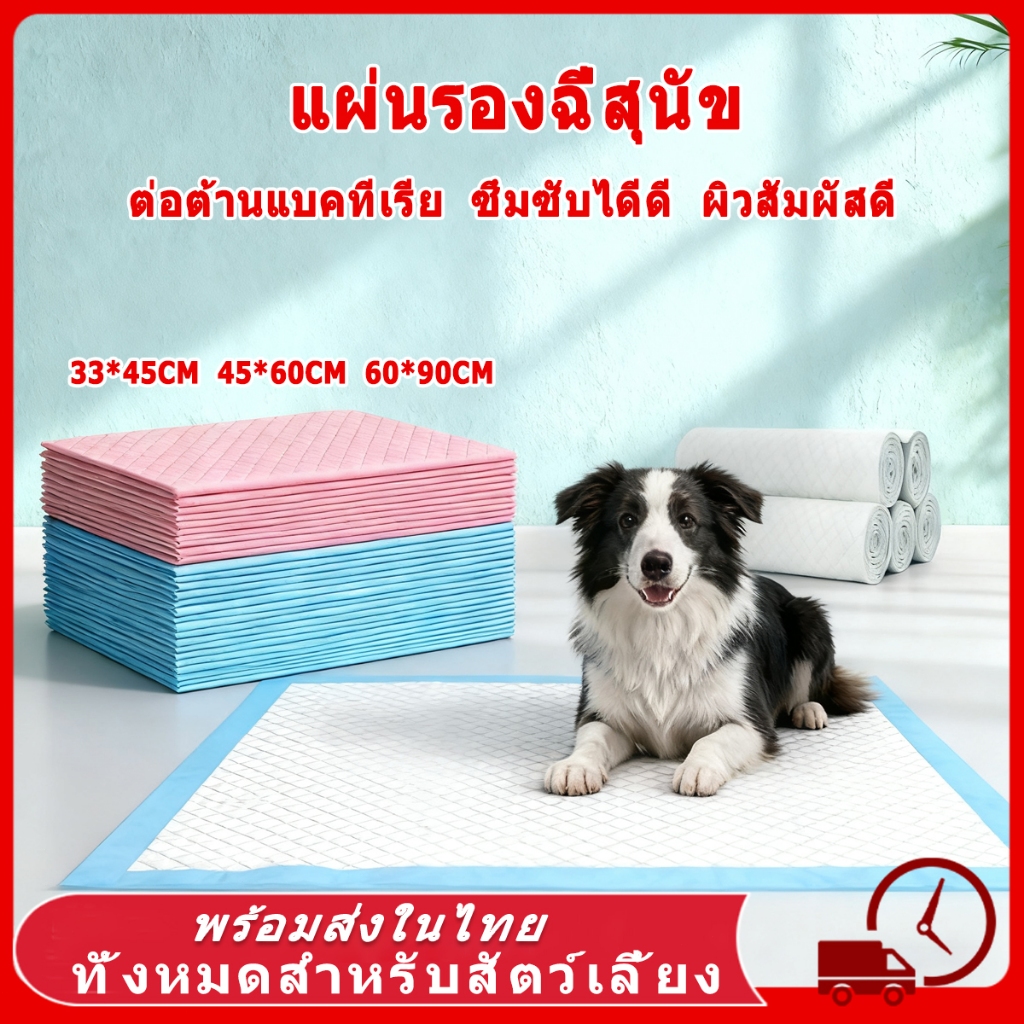 แผ่นรองฉี่สุนัข แผ่นรองฉี่ 2 ชั้น ต่อต้านแบคทีเรีย ซึมซับไดีดี แผ่นรองฉี่สําหรับสัตว์เลี้ยง ผิวสัมผัสดี ถาดรองฉี่สุนัข