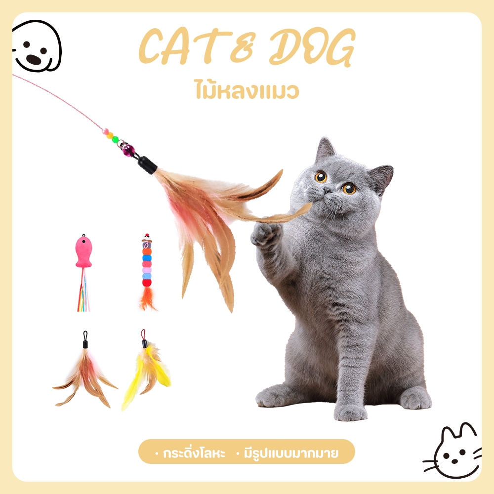 CAT&DOG】ไม้ล่อแมว ไม้ตกแมว ของเล่นแมว แบบโค้ง ปลายขนไก่ ขนนกหลายสี มีกระดิ่ง รุ่นเบสิค ขนนกล่อแมว