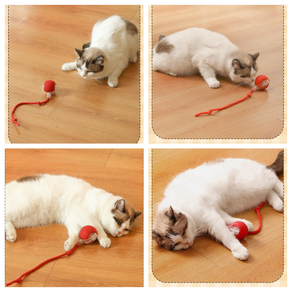 ของเล่นแมวโต้ตอบ Ball ลูกบอลกลิ้งไฟฟ้าอัตโนมัติของเล่นสําหรับแมว/คิตตี้สัตว์เลี้ยงสมาร์ทชาเซอร์อัตโนมัติ USB ชาร์จ LP