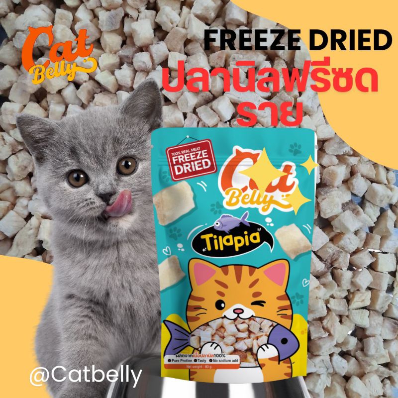 เกรดคนทาน ผลิตในไทย🇹🇭 Catbelly ขนมแมว อกไก่แมว ปลาฟรีซดราย ฟรีซดรายแมว ขนมสัตว์ freeze dried (ปลานิล)