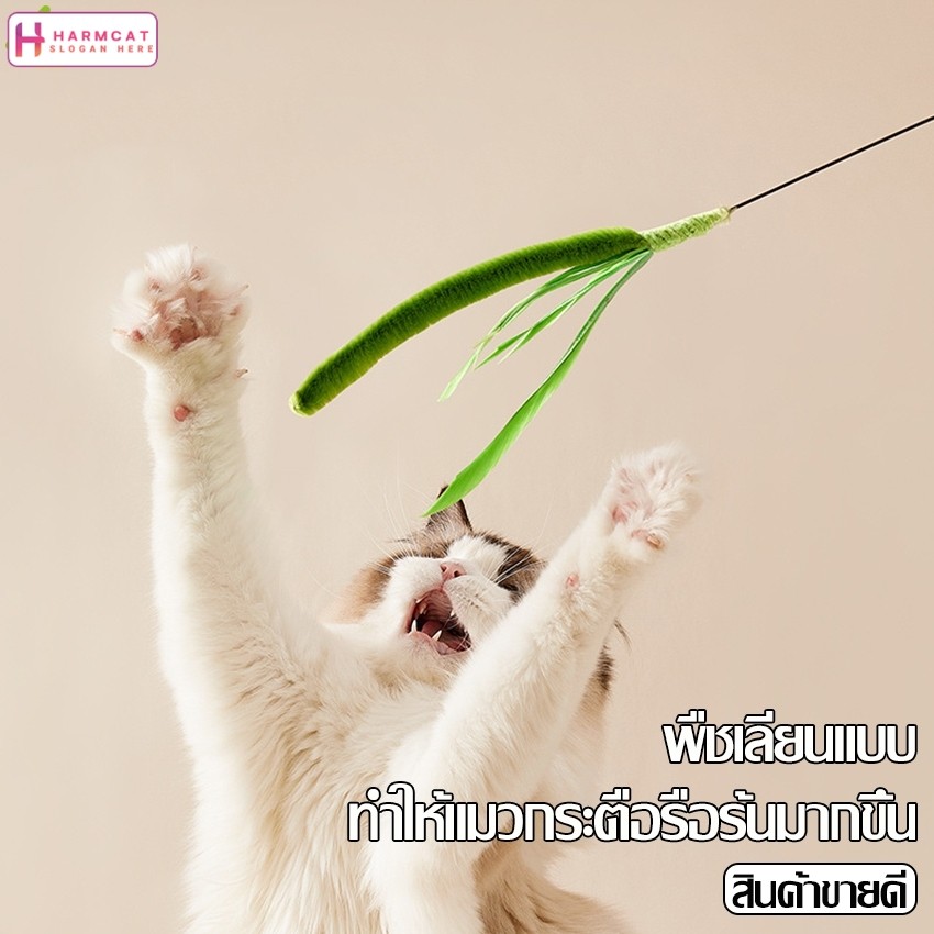 Harmcat ไม้ตกแมว Cat Teaser ก้านยาว 50 cm ไม้ล่อแมว ของเล่นแมว ไม้ล่อแมวสปริง สําหรับสัตว์เลี้ยง