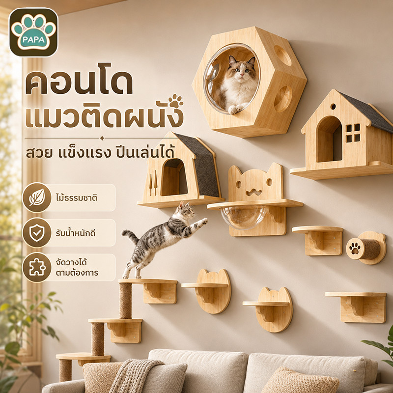 คอนโดแมวติดผนัง บ้านแมว รังแมวติดผนัง คอนโดแมวไม้ กล่องแมวติดผนัง