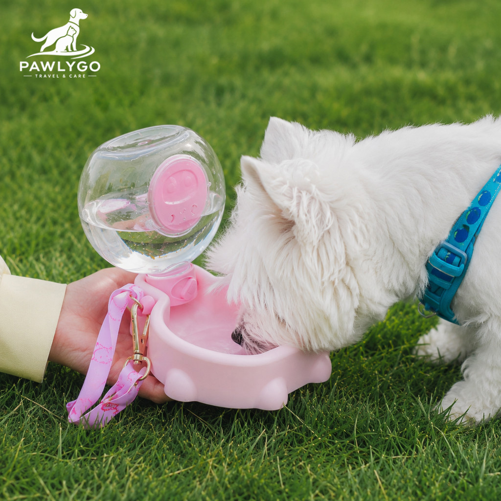 Pawlygo ขวดน้ําสัตว์เลี้ยง 2in1 400ml พกพาง่าย สําหรับหมาแมว ใช้ระหว่างเดินทาง