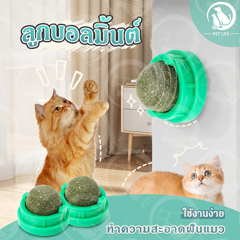 แคทนิปบอล บอลแมวเลีย แคทนิปแมวเลีย กัญชาแมว แคทนิป ขนมแมวเลีย ของเล่นแมวเลีย ติดกําแพง สมุนไพรแมวเลียหมุ่นไ