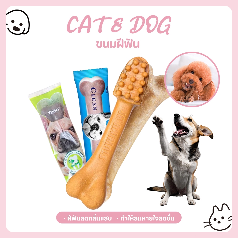 CAT&DOG】ขนมขัดฟันหมา กระดูกขัดฟัน ขนมหมา ขนมขัดฟันสุนัข ทําความสะอาดฟัน ขนมแท่งรูปกระดูก มี3รสชาติ
