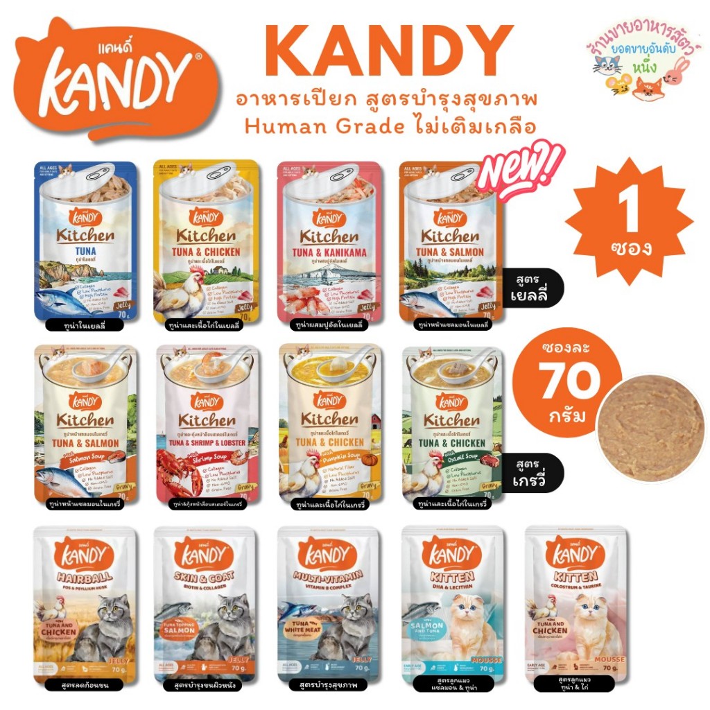 Kandy อาหารเปียกแคนดี้ Holistic Grain Free ทูน่าเนื้อขาว ไม่เติมเกลือ สูตรดูแลสุขภาพ ยกโหล 70g {ซองเดี่ยว