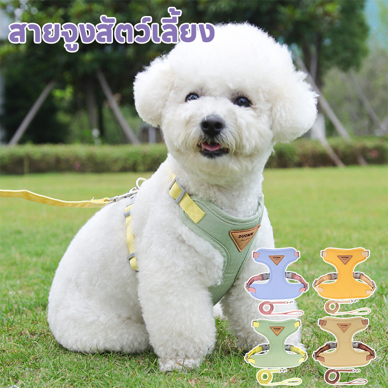 สายจูงสะท้อนแสงสําหรับสัตว์เลี้ยงกลางแจ้ง สุนัขและแมวสามารถใช้ได้