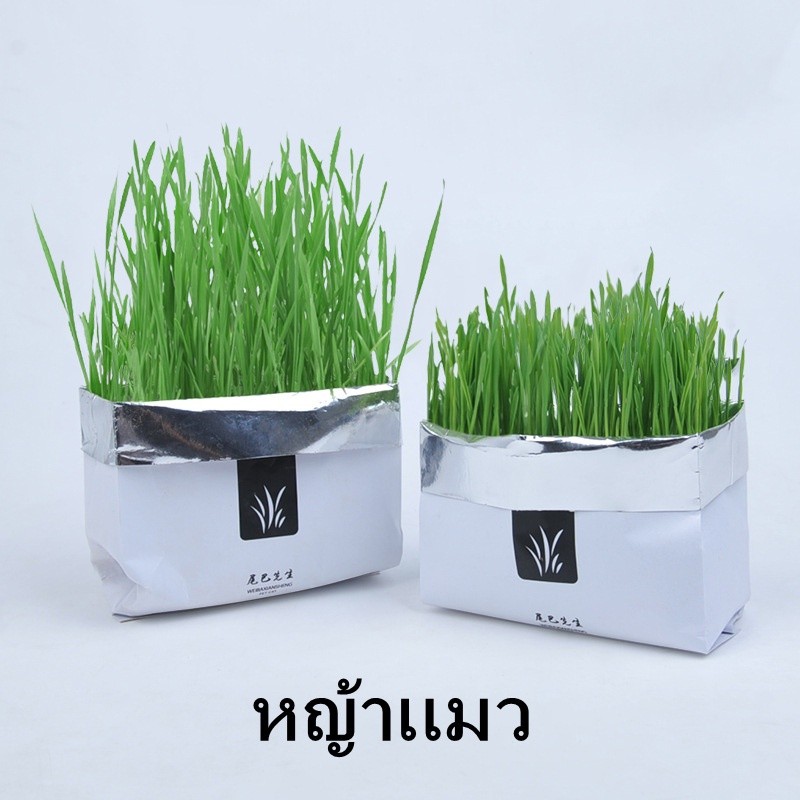 ชุดปลูกหญ้าแมว🌱 แบบถุงปลูกง่ายแค่เติมน้ํา ต้นอ่อนข้าวสาลี ออแกนิกส์ สําหรับ หมา แมว หนู กระต่าย นก และสัตว์กินหญ้าอื่นๆ