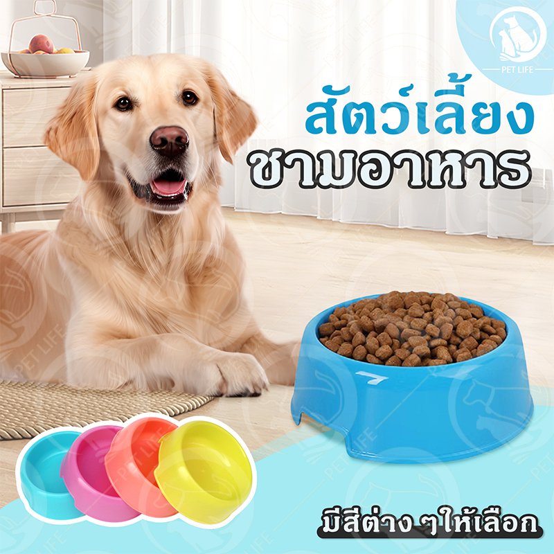 ชามอาหารสัตว์เลี้ยง ชามอาหารแมว ชามอาหารสุนัข ทําความสะอาดได้ง่าย 3 สีให้เลือก 13.7*10*4.5CM
